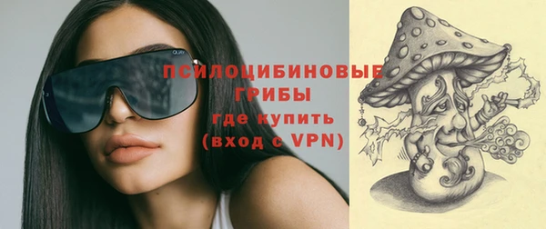 сатива Алзамай