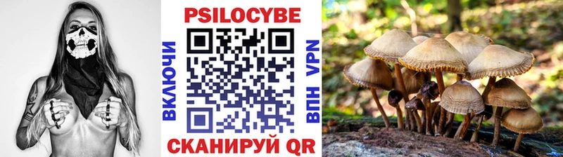 маркетплейс официальный сайт Верхоянск Галлюциногенные грибы MAGIC MUSHROOMS MEGA ссылки
